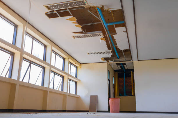 Best Flood restoration services  in La Mirada, CA