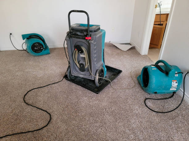 Best Residential water damage restoration  in La Mirada, CA