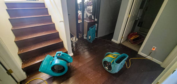 Best Mold removal after water damage  in La Mirada, CA