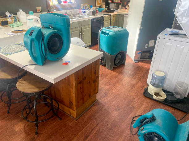 Best Mold removal after water damage  in La Mirada, CA