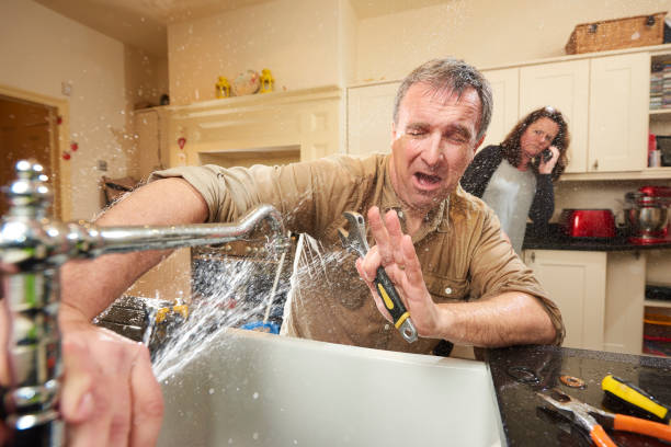 Best Local water damage restoration  in La Mirada, CA